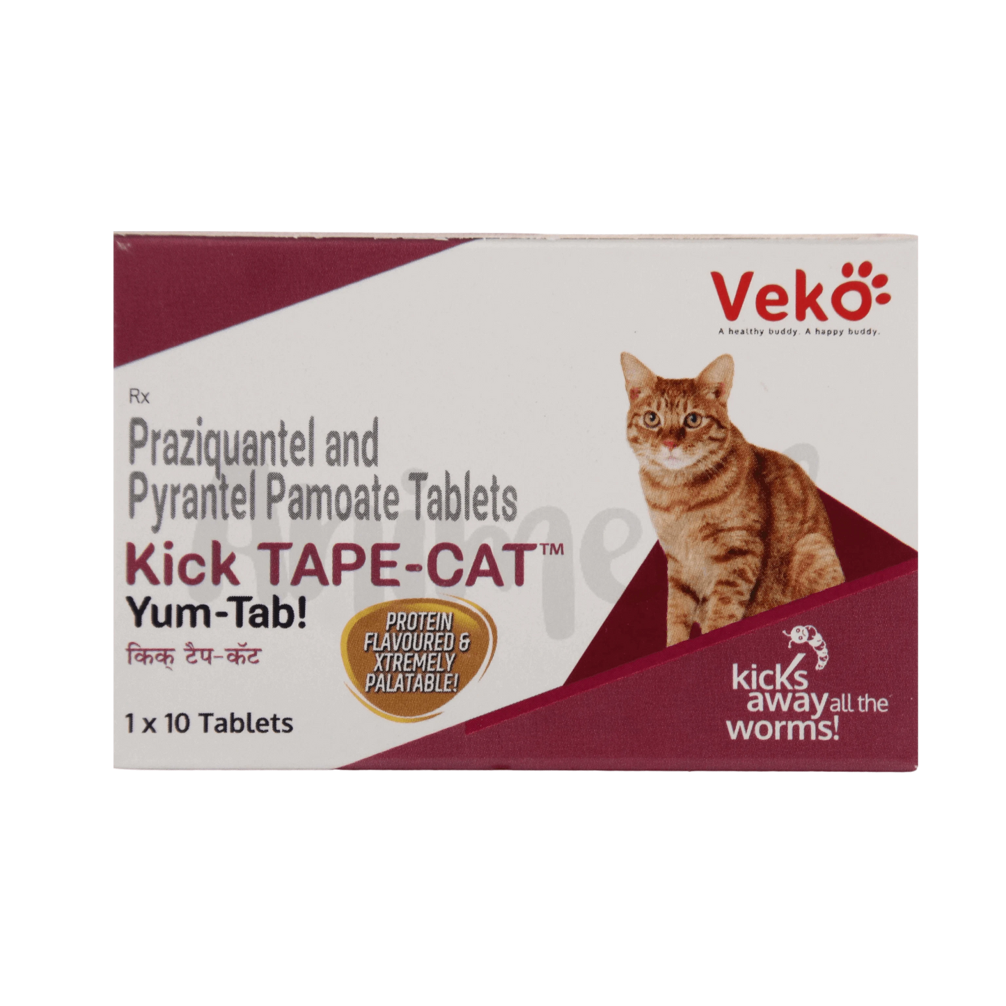 KICK TAPE CAT TABLET - Animeal