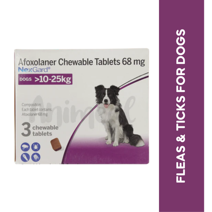 NEXGARD (10-25KG) DOG TABLET - Animeal