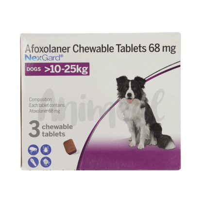 NEXGARD (10-25KG) DOG TABLET - Animeal