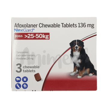 NEXGARD (25-50KG) DOG TABLET - Animeal