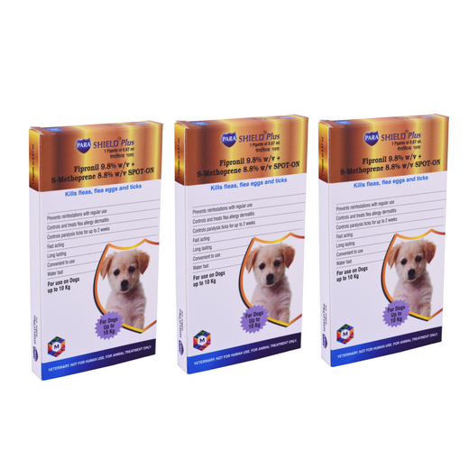 Animeal