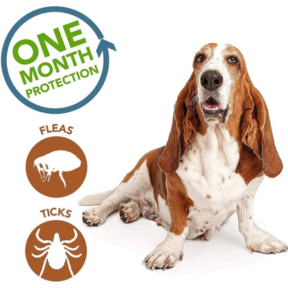 Parashield Plus Spot On Solution for Dog Over (10 kg up to 20 kg)