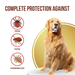 Parashield Plus Spot On Treatment for Dogs Over 40 kg