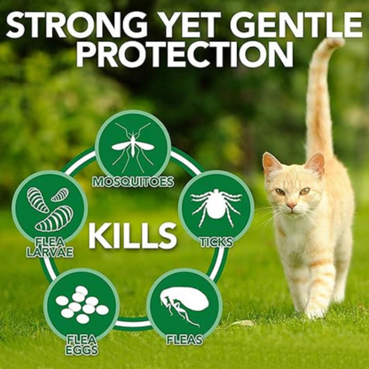 Spot On Treatment for Cats