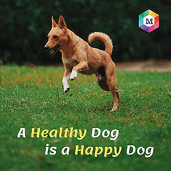 Parashield Plus Spot On Treatment for Dogs Over 40 kg (Pack of 3)