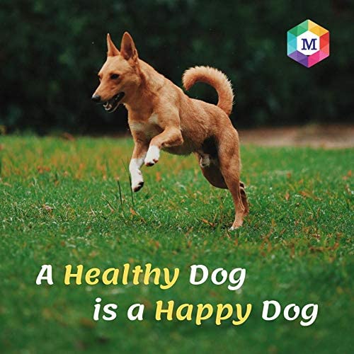 Vitaboost Multivitamins and Minerals Supplement for Dogs- Pack of 60 Tablets