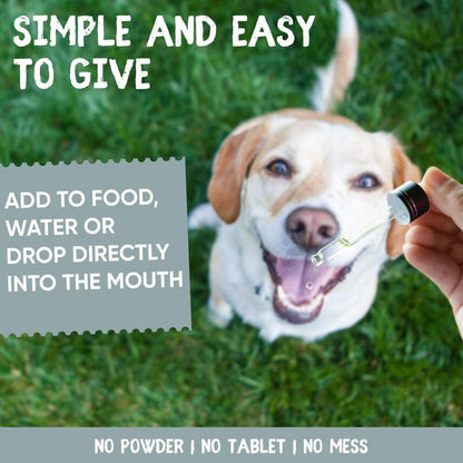 Biotin for Dogs & Cats