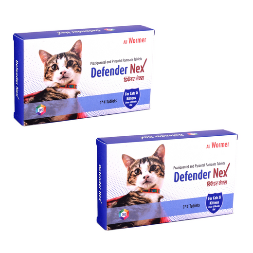 Animeal