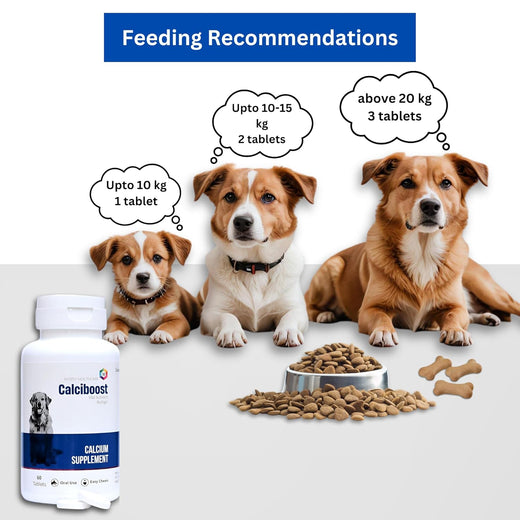 Animeal