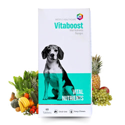 Vitaboost Multivitamins and Minerals Supplement for Dogs- Pack of 60 Tablets