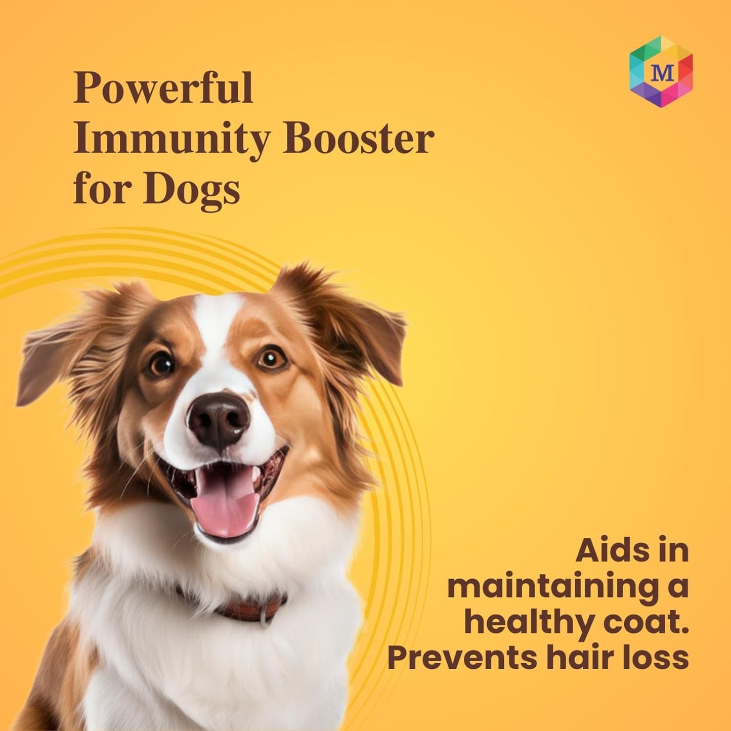 Goat Milk + Multivitamin + Colostrum (Immunity Booster) for Dogs | Pack of 15 Sachets