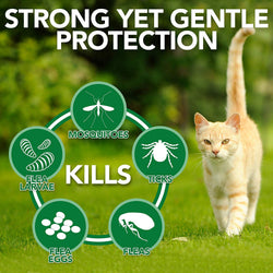 Spot On Treatment for Cats (Pack of 2)