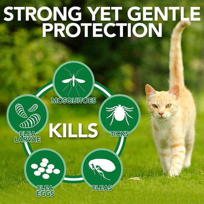 Spot On Treatment for Cats (Pack of 2)