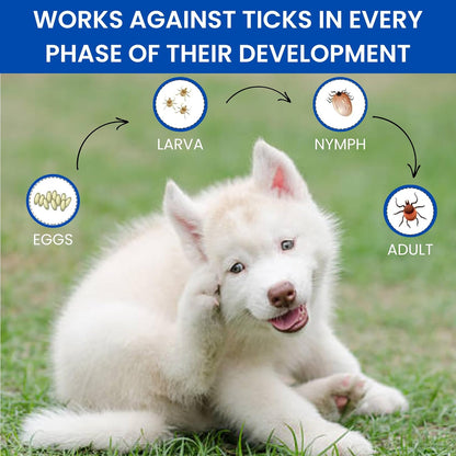 Parashield Fleas & Ticks Spray for Dogs and Cats - 250 ML