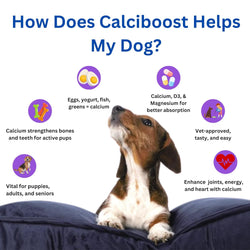 Dog Calcium Tablets – 60 Count