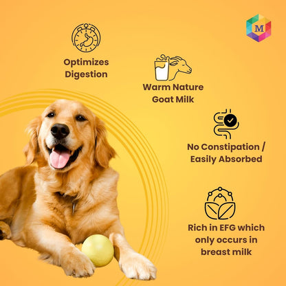 Goat Milk + Multivitamin + Colostrum (Immunity Booster) for Dogs | Pack of 15 Sachets