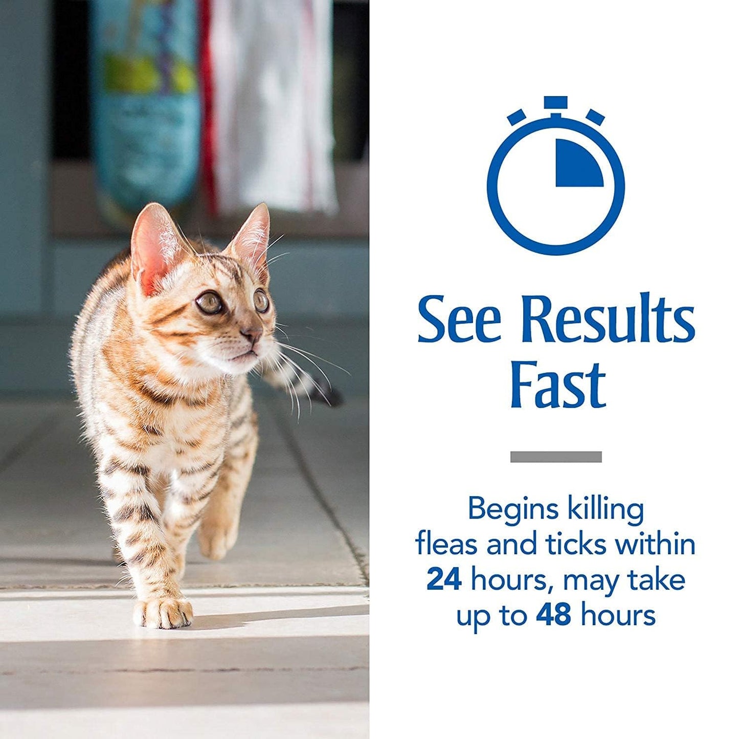 Spot On Treatment for Cats (Pack of 2)
