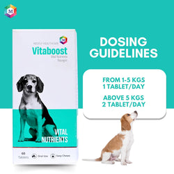 Vitaboost Multivitamins and Minerals Supplement for Dogs- Pack of 60 Tablets
