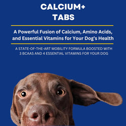 Dog Calcium Tablets – 60 Count