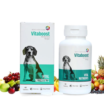 Vitaboost Multivitamins and Minerals Supplement for Dogs- Pack of 60 Tablets