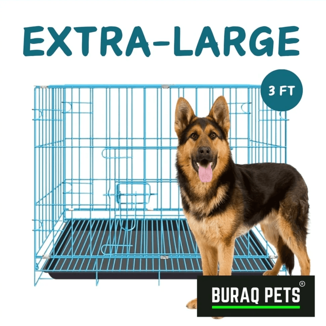 BQP CAT & DOG CAGE 36