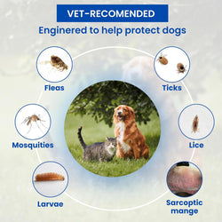 Parashield Fleas & Ticks Spray for Dogs and Cats - 250 ML