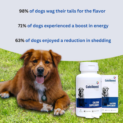 Dog Calcium Tablets – 60 Count