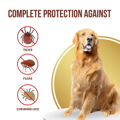 Parashield Plus Spot On Treatment for Dogs 20-40 kg (Pack of 2)