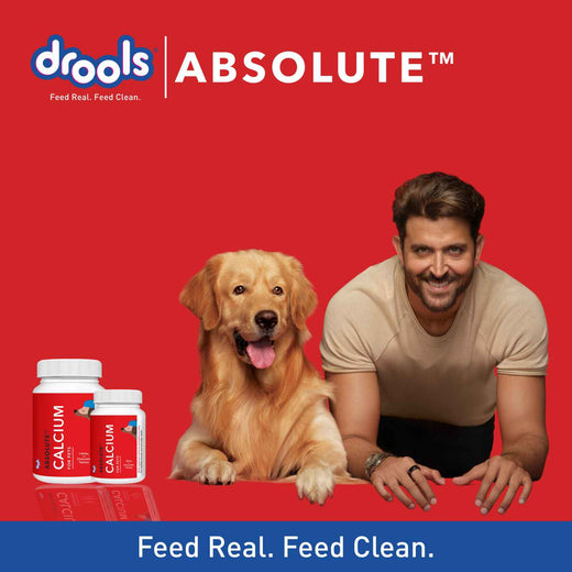 Animeal