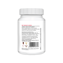 ABSOLUTE CALCIUM TABLET - Animeal