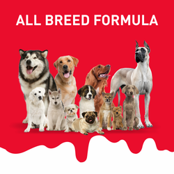ABSOLUTE MILK BONE - Animeal