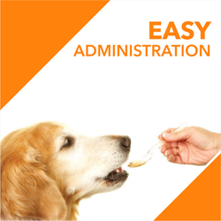 ABSOLUTE SALMON OIL (L) - Animeal