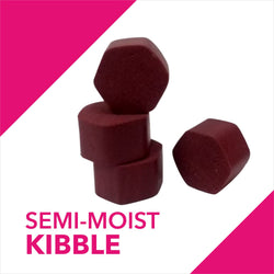 ABSOLUTE SKIN & COAT TABLET (L) - Animeal