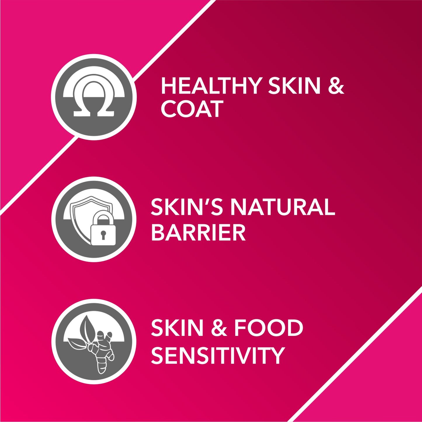 ABSOLUTE SKIN & COAT TABLET (L) - Animeal
