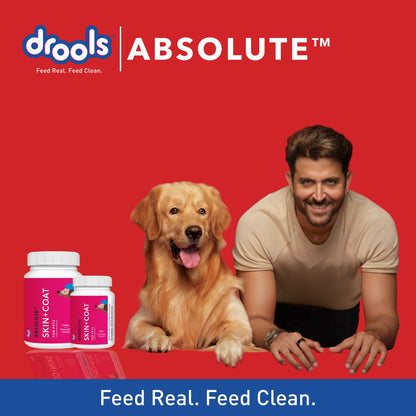ABSOLUTE SKIN & COAT TABLET (L) - Animeal