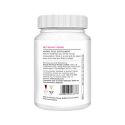 ABSOLUTE SKIN & COAT TABLET (L) - Animeal