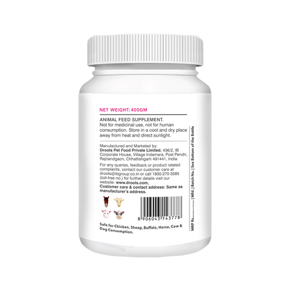 ABSOLUTE SKIN & COAT TABLET (L) - Animeal