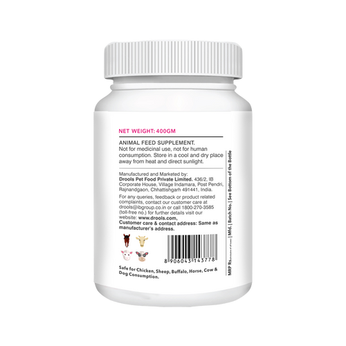 ABSOLUTE SKIN & COAT TABLET (L) - Animeal