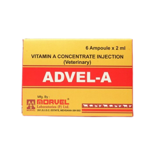 Animeal