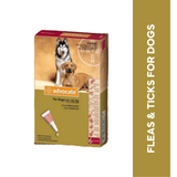ADVOCATE (10-25KG) DOG SPOT ON