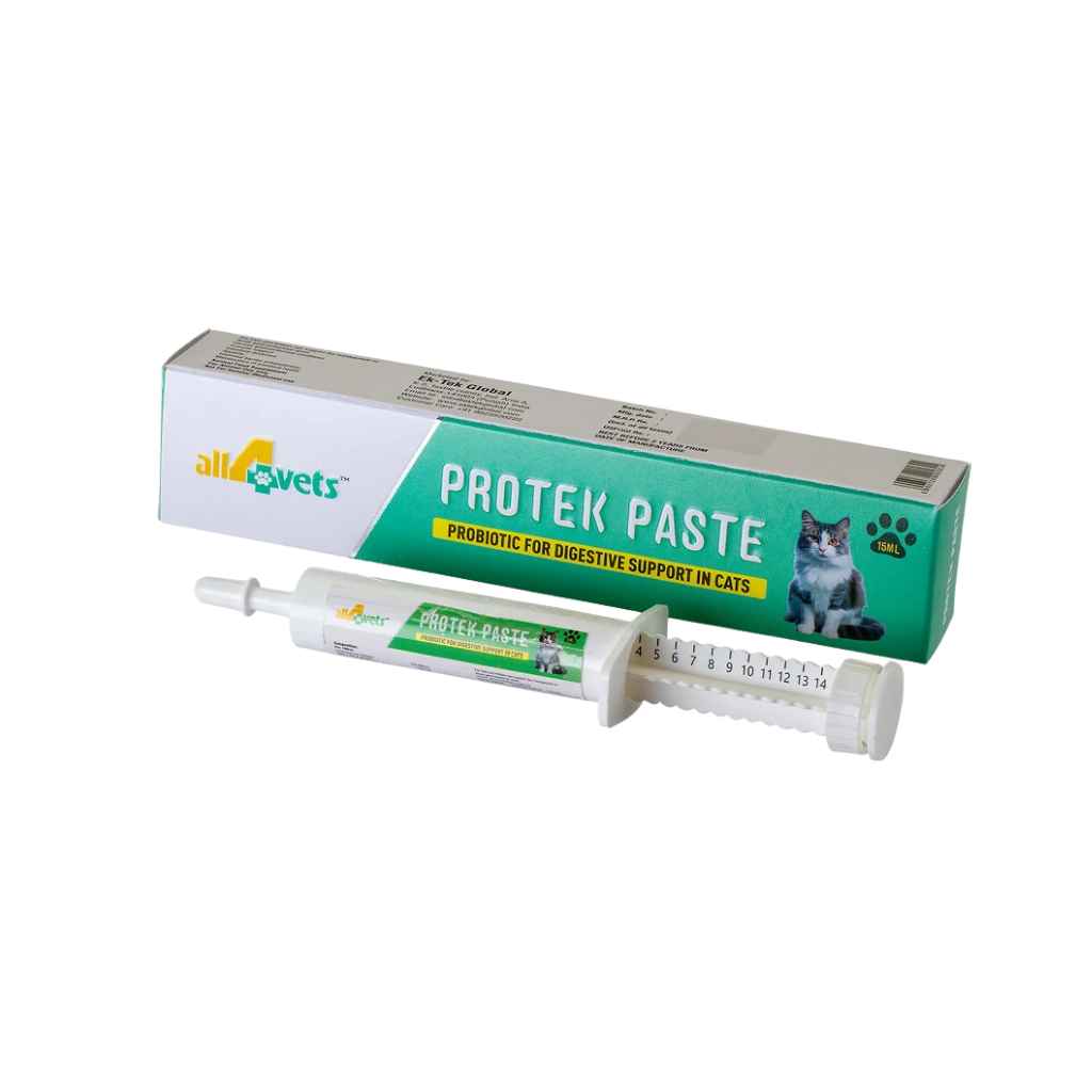 ALL4VETS PROTEK PROBIOTIC PASTE FOR CATS & KITTENS [15 ML] - Animeal
