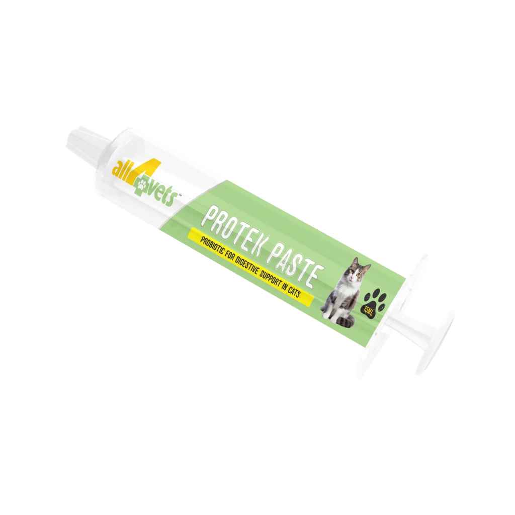 ALL4VETS PROTEK PROBIOTIC PASTE FOR CATS & KITTENS [15 ML] - Animeal