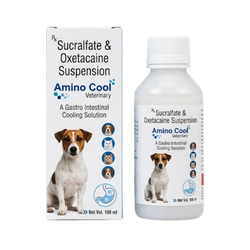 AMINO COOL SYRUP - Animeal