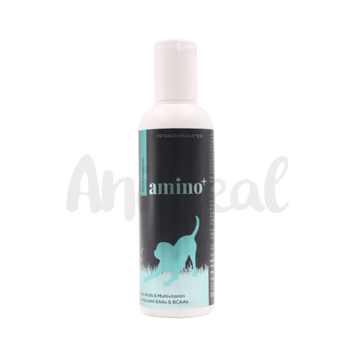 AMINO + SYRUP - Animeal