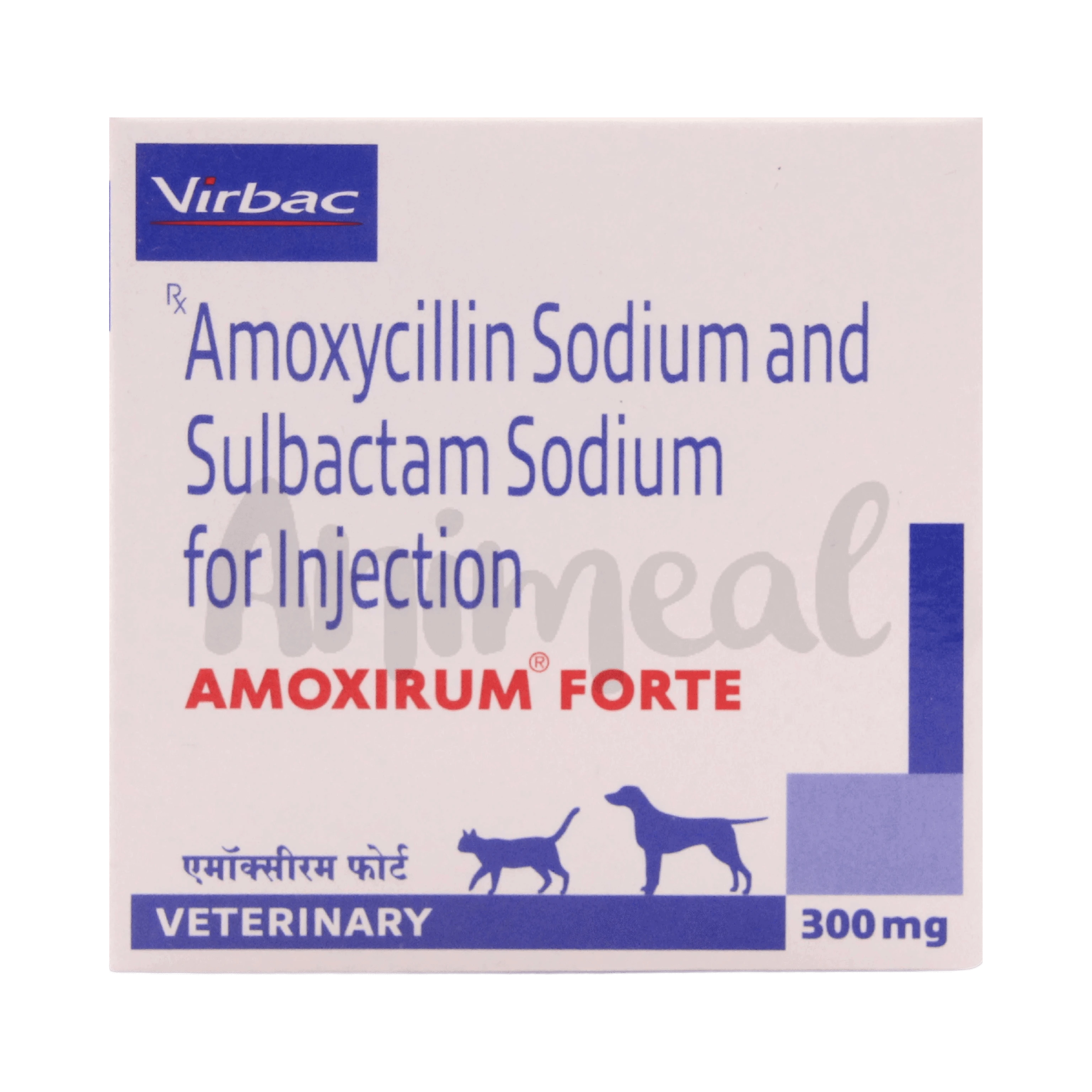 AnimealAMOXIRUM FORTE INJ 300MG - Upto 15% Off - Animeal