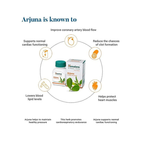 ARJUNA TABLET - Animeal