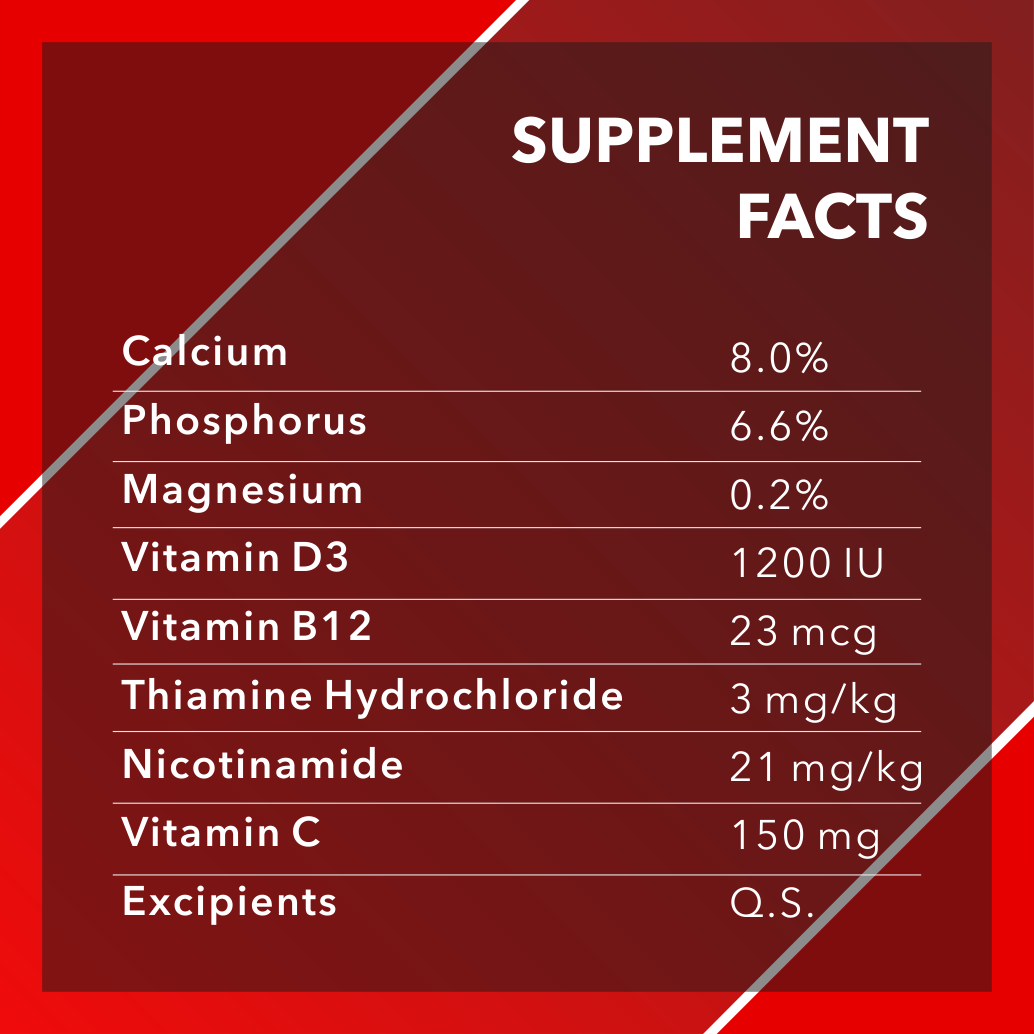 Absolute Calcium Tablet for Dogs | 50 Tablets - Animeal