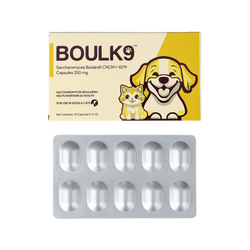 BOULK9 TABLET - Animeal