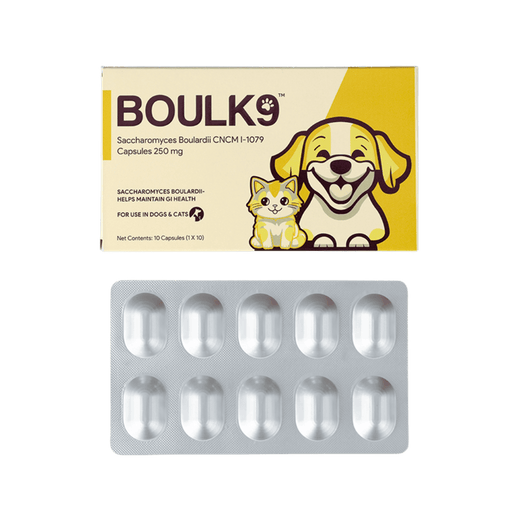 Animeal