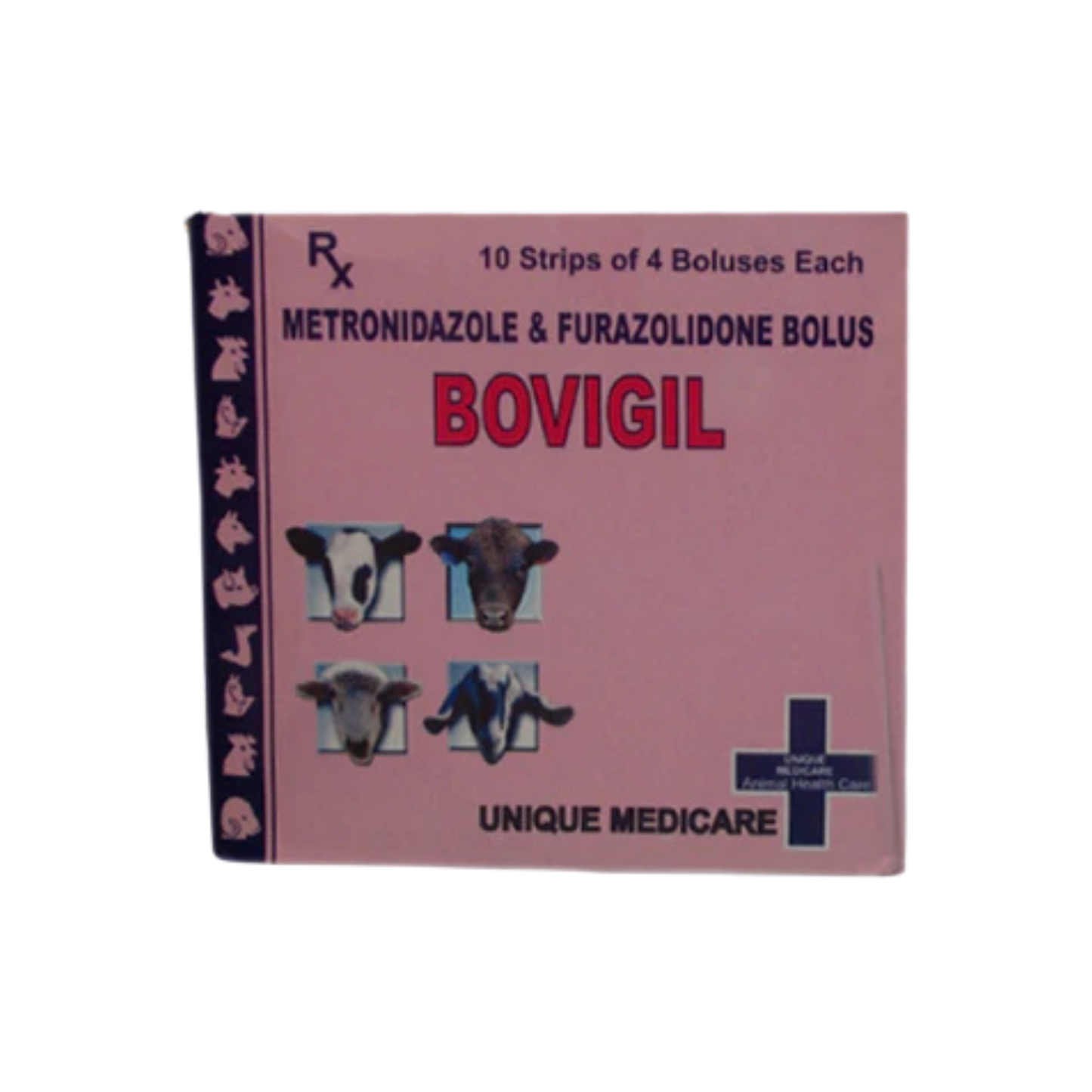 BOVIGIL L BOLUS - Animeal